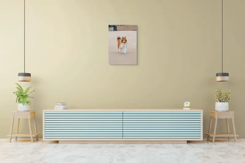 Tablou Canvas, "Câine alergând liber pe plajă", Câine, Nisip, Blană, Mare, Plajă, Mișcare, Relaxare, Bucle, Cozi, Fericire, 50 x 70 cm – poza 6