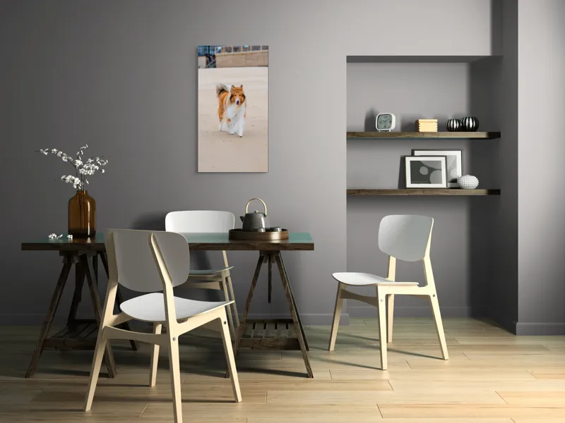 Tablou Canvas, "Câine alergând liber pe plajă", Câine, Nisip, Blană, Mare, Plajă, Mișcare, Relaxare, Bucle, Cozi, Fericire, 50 x 90 cm – poza 4