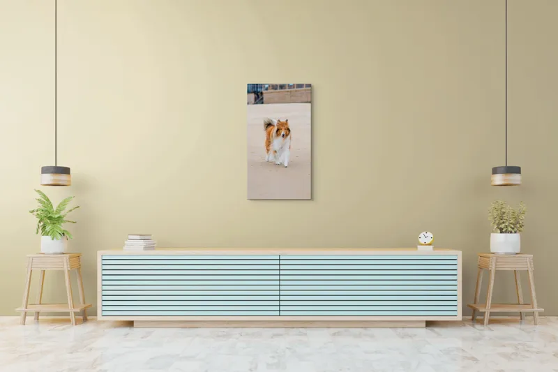 Tablou Canvas, "Câine alergând liber pe plajă", Câine, Nisip, Blană, Mare, Plajă, Mișcare, Relaxare, Bucle, Cozi, Fericire, 50 x 90 cm – poza 6