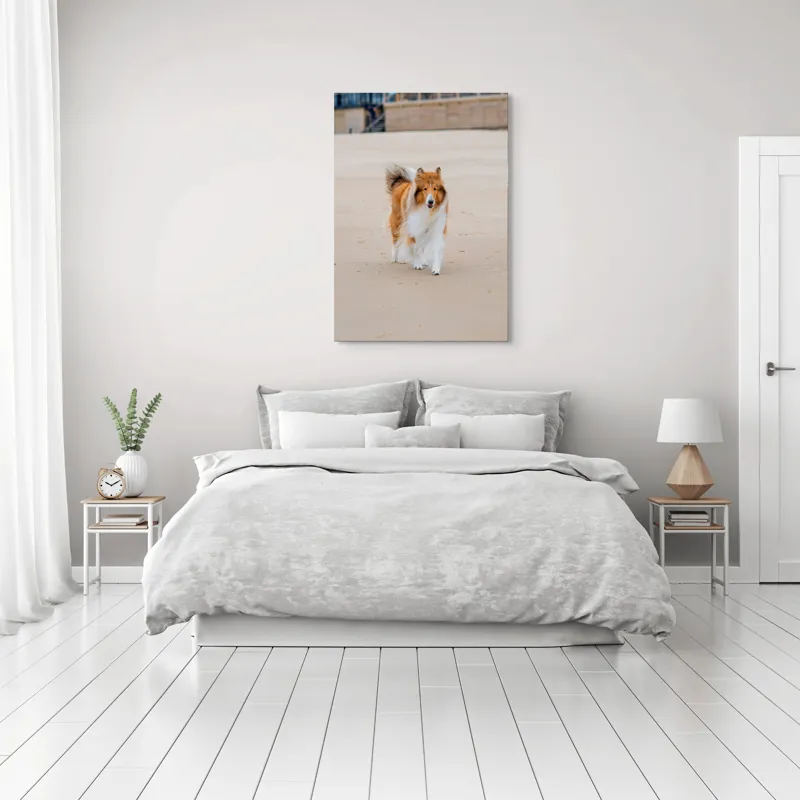 Tablou Canvas, "Câine alergând liber pe plajă", Câine, Nisip, Blană, Mare, Plajă, Mișcare, Relaxare, Bucle, Cozi, Fericire, 70 x 100 cm – poza 3