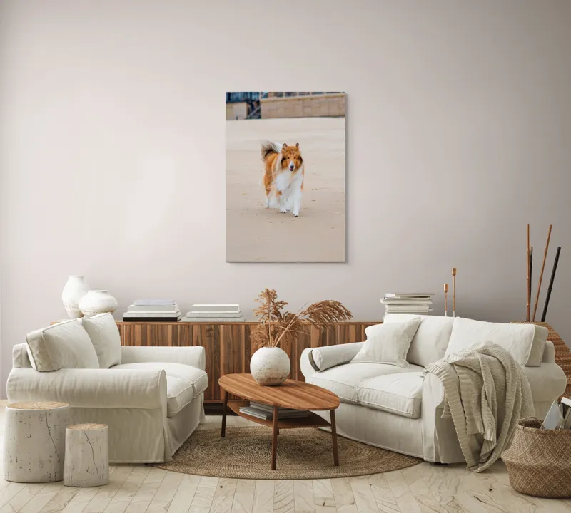 Tablou Canvas, "Câine alergând liber pe plajă", Câine, Nisip, Blană, Mare, Plajă, Mișcare, Relaxare, Bucle, Cozi, Fericire, 70 x 100 cm – poza 4