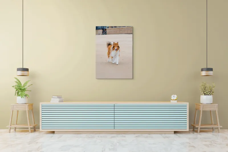 Tablou Canvas, "Câine alergând liber pe plajă", Câine, Nisip, Blană, Mare, Plajă, Mișcare, Relaxare, Bucle, Cozi, Fericire, 70 x 100 cm – poza 5
