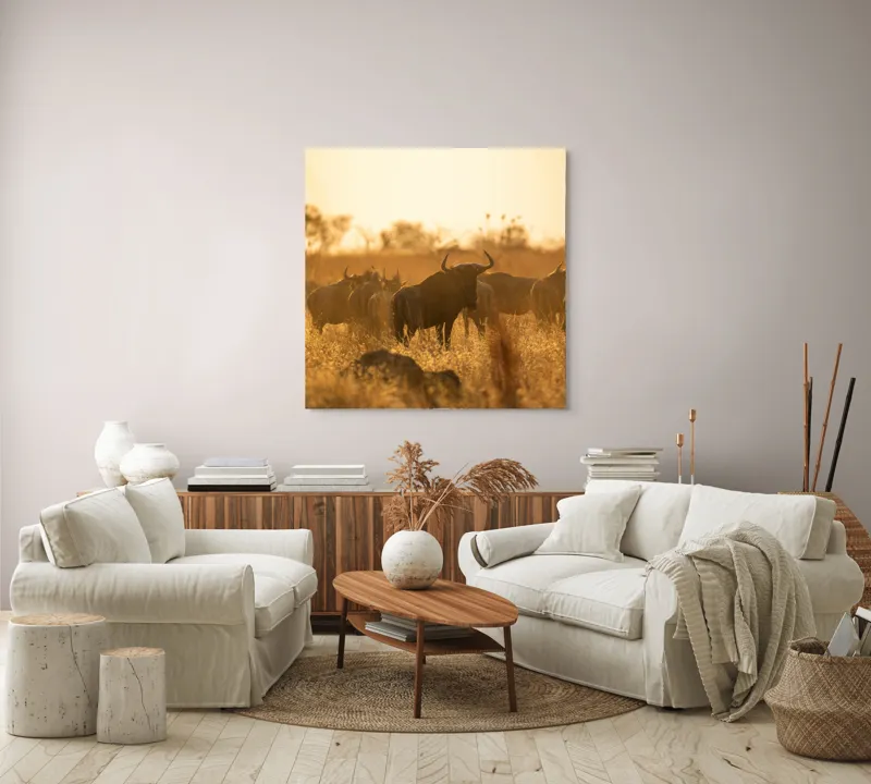Tablou Canvas, "Turma de gnu în lumina apusului", Wildebeest, Apus, Savană, Siluete, Întuneric, Peisaj, Iarbă, Animale, Nature, Serenitate, 100 x 100 cm – poza 3