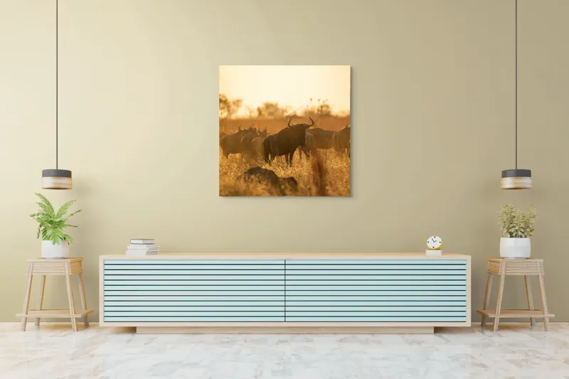 Tablou Canvas, "Turma de gnu în lumina apusului", Wildebeest, Apus, Savană, Siluete, Întuneric, Peisaj, Iarbă, Animale, Nature, Serenitate, 100 x 100 cm – poza 5