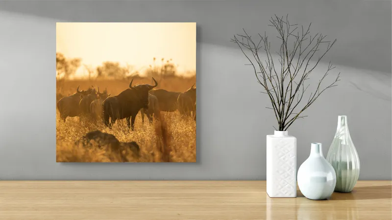 Tablou Canvas, "Turma de gnu în lumina apusului", Wildebeest, Apus, Savană, Siluete, Întuneric, Peisaj, Iarbă, Animale, Nature, Serenitate, 50 x 50 cm – poza 3