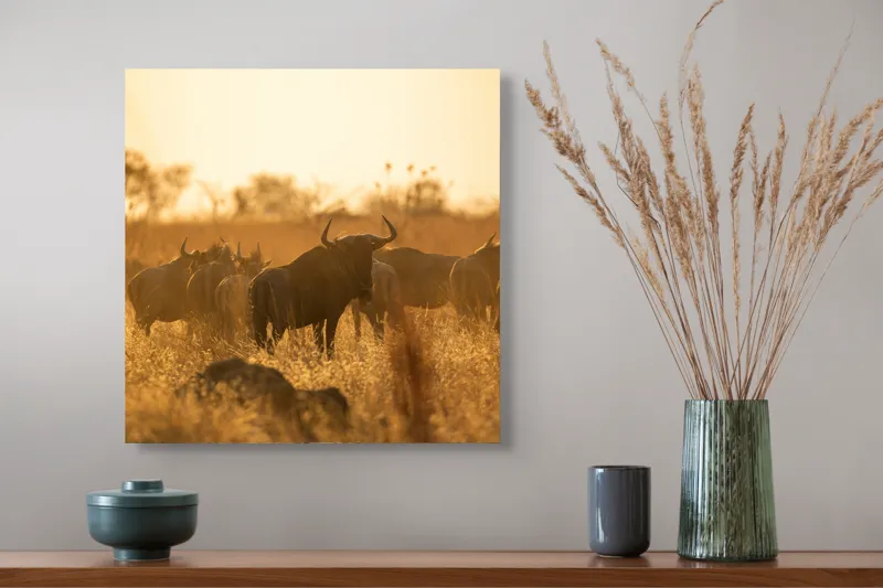Tablou Canvas, "Turma de gnu în lumina apusului", Wildebeest, Apus, Savană, Siluete, Întuneric, Peisaj, Iarbă, Animale, Nature, Serenitate, 50 x 50 cm – poza 4