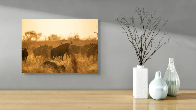 Tablou Canvas, "Turma de gnu în lumina apusului", Wildebeest, Apus, Savană, Siluete, Întuneric, Peisaj, Iarbă, Animale, Nature, Serenitate, 54 x 39 cm – poza 3