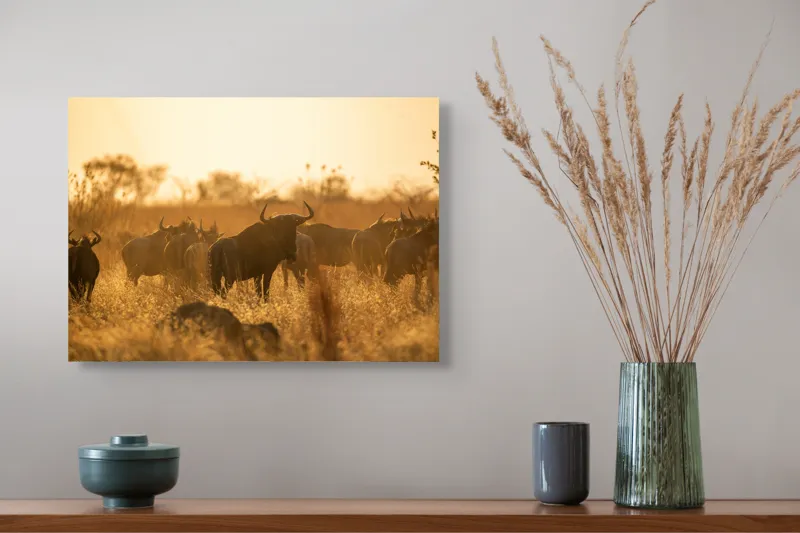 Tablou Canvas, "Turma de gnu în lumina apusului", Wildebeest, Apus, Savană, Siluete, Întuneric, Peisaj, Iarbă, Animale, Nature, Serenitate, 54 x 39 cm – poza 4