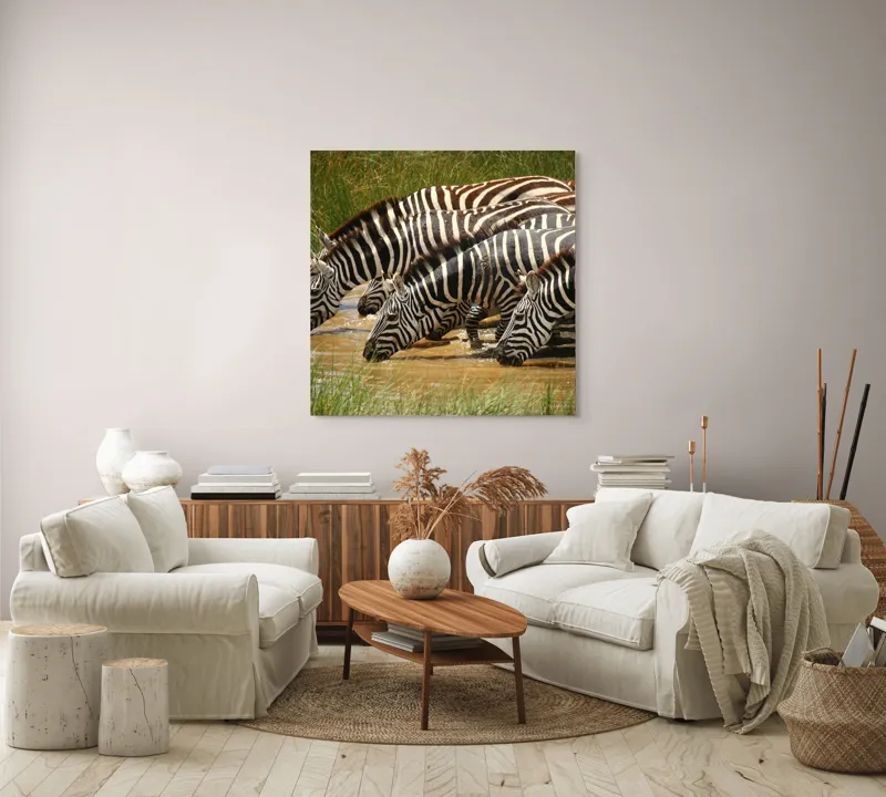 Tablou Canvas, "Zebre la adăpat în savană", Zebre, Apă, Dungi, Natură, Verdeață, Reflecții, Armonie, Animale, Contrast, 100 x 100 cm – poza 3