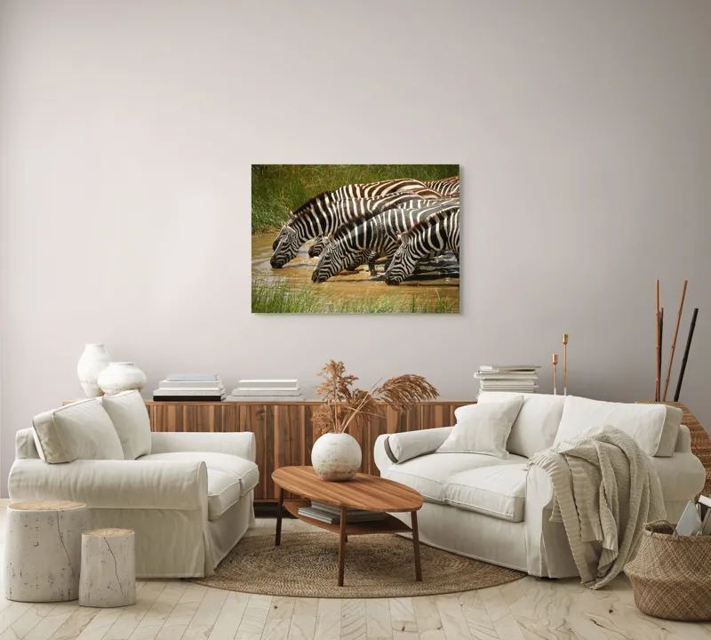 Tablou Canvas, "Zebre la adăpat în savană", Zebre, Apă, Dungi, Natură, Verdeață, Reflecții, Armonie, Animale, Contrast, 100 x 70 cm – poza 3
