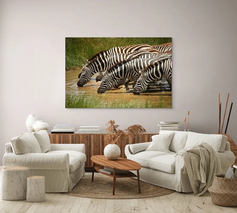 Tablou Canvas, "Zebre la adăpat în savană", Zebre, Apă, Dungi, Natură, Verdeață, Reflecții, Armonie, Animale, Contrast, 150 x 100 cm – poza 3