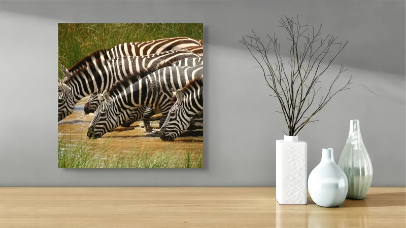 Tablou Canvas, "Zebre la adăpat în savană", Zebre, Apă, Dungi, Natură, Verdeață, Reflecții, Armonie, Animale, Contrast, 50 x 50 cm – poza 3