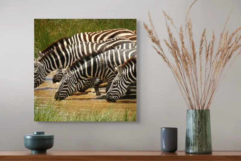 Tablou Canvas, "Zebre la adăpat în savană", Zebre, Apă, Dungi, Natură, Verdeață, Reflecții, Armonie, Animale, Contrast, 50 x 50 cm – poza 4