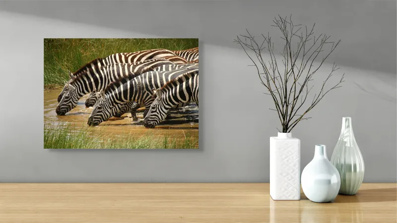 Tablou Canvas, "Zebre la adăpat în savană", Zebre, Apă, Dungi, Natură, Verdeață, Reflecții, Armonie, Animale, Contrast, 54 x 39 cm – poza 3