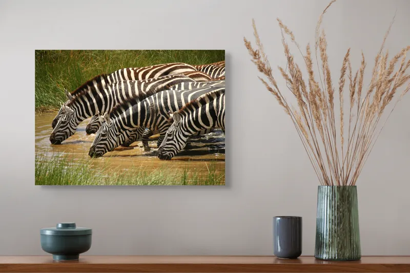 Tablou Canvas, "Zebre la adăpat în savană", Zebre, Apă, Dungi, Natură, Verdeață, Reflecții, Armonie, Animale, Contrast, 54 x 39 cm – poza 4