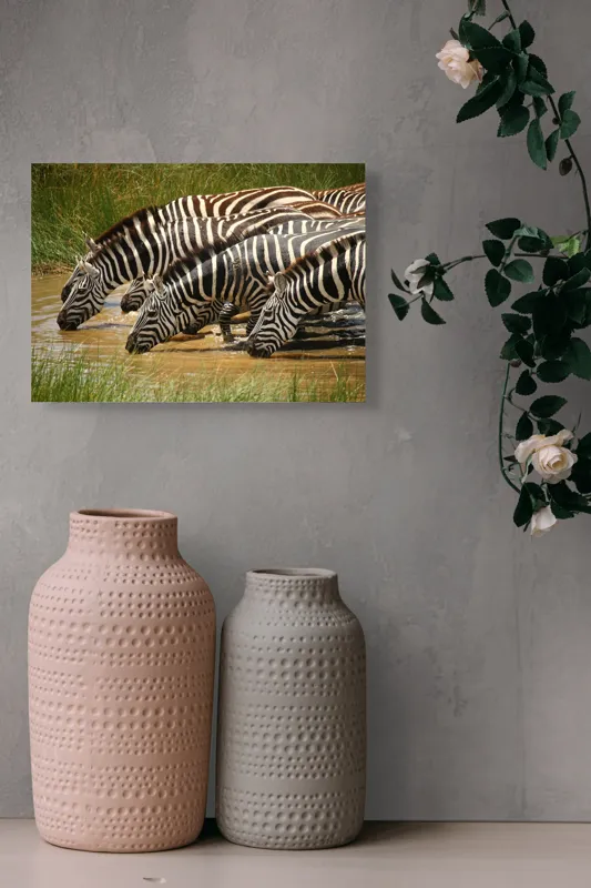 Tablou Canvas, "Zebre la adăpat în savană", Zebre, Apă, Dungi, Natură, Verdeață, Reflecții, Armonie, Animale, Contrast, 54 x 39 cm – poza 8