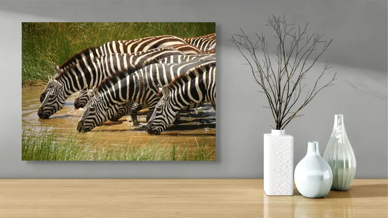 Tablou Canvas, "Zebre la adăpat în savană", Zebre, Apă, Dungi, Natură, Verdeață, Reflecții, Armonie, Animale, Contrast, 70 x 50 cm – poza 3