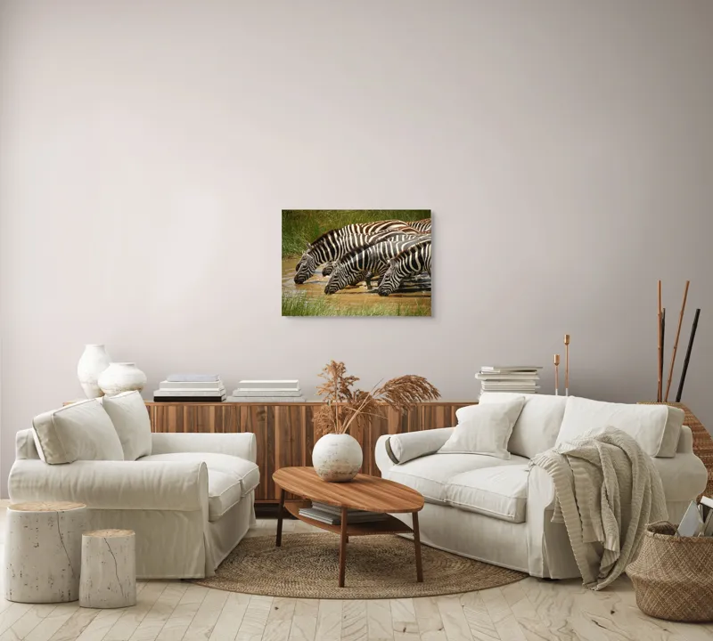 Tablou Canvas, "Zebre la adăpat în savană", Zebre, Apă, Dungi, Natură, Verdeață, Reflecții, Armonie, Animale, Contrast, 70 x 50 cm – poza 6