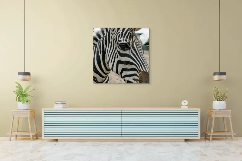 Tablou Canvas, "Zebra contemplând în lumina dimineții", Zebră, Dungi, Natură, Curiozitate, Faună, Contrast, Privire, Habitat, Blană, Alb-Negru, 100 x 100 cm – poza 5