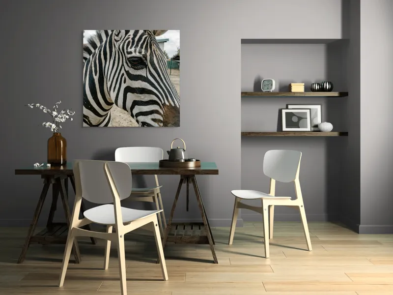Tablou Canvas, "Zebra contemplând în lumina dimineții", Zebră, Dungi, Natură, Curiozitate, Faună, Contrast, Privire, Habitat, Blană, Alb-Negru, 100 x 100 cm – poza 6