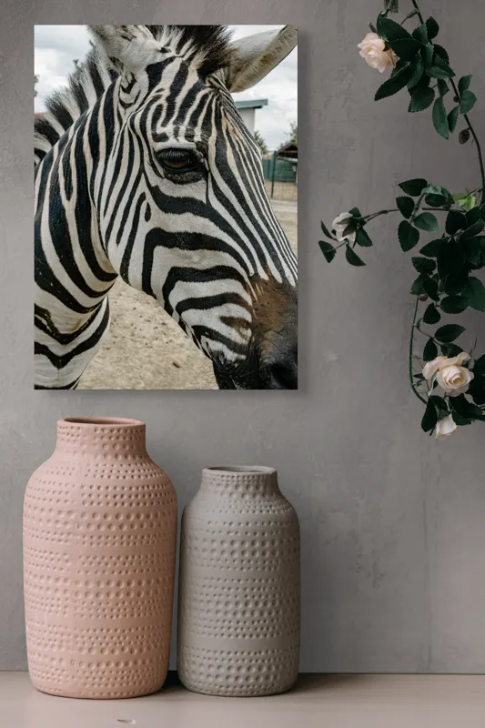 Tablou Canvas, "Zebra contemplând în lumina dimineții", Zebră, Dungi, Natură, Curiozitate, Faună, Contrast, Privire, Habitat, Blană, Alb-Negru, 39 x 54 cm – poza 6