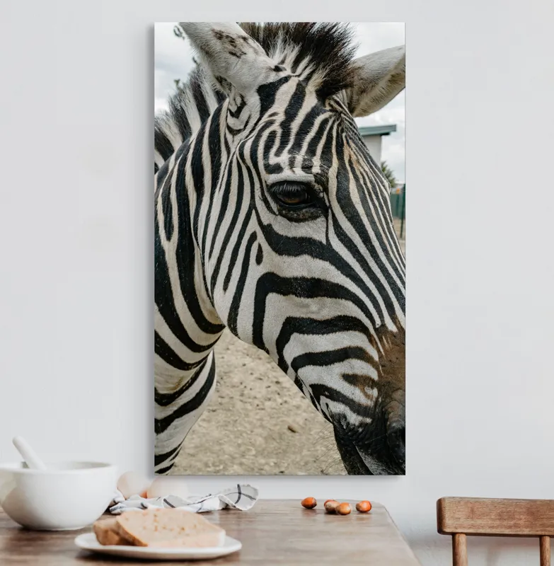 Tablou Canvas, "Zebra contemplând în lumina dimineții", Zebră, Dungi, Natură, Curiozitate, Faună, Contrast, Privire, Habitat, Blană, Alb-Negru, 50 x 90 cm – poza 3