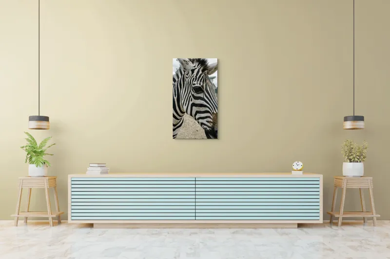 Tablou Canvas, "Zebra contemplând în lumina dimineții", Zebră, Dungi, Natură, Curiozitate, Faună, Contrast, Privire, Habitat, Blană, Alb-Negru, 50 x 90 cm – poza 6