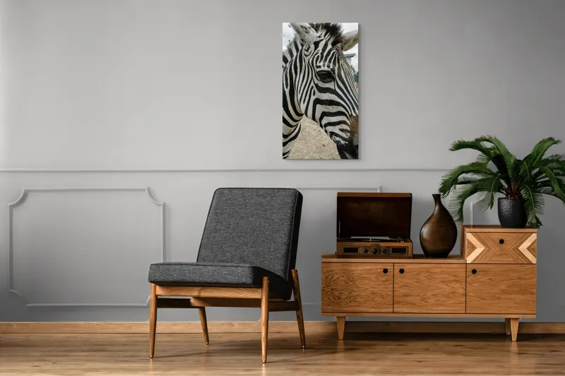 Tablou Canvas, "Zebra contemplând în lumina dimineții", Zebră, Dungi, Natură, Curiozitate, Faună, Contrast, Privire, Habitat, Blană, Alb-Negru, 50 x 90 cm – poza 8