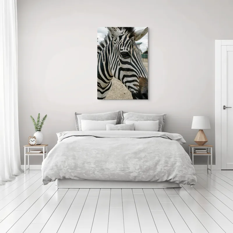 Tablou Canvas, "Zebra contemplând în lumina dimineții", Zebră, Dungi, Natură, Curiozitate, Faună, Contrast, Privire, Habitat, Blană, Alb-Negru, 70 x 100 cm – poza 3