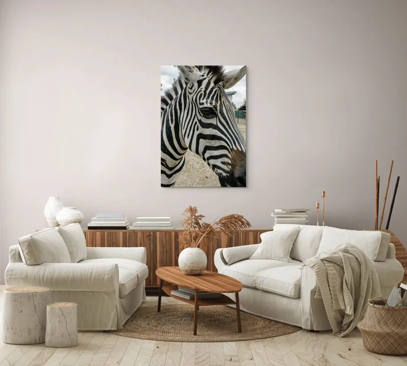 Tablou Canvas, "Zebra contemplând în lumina dimineții", Zebră, Dungi, Natură, Curiozitate, Faună, Contrast, Privire, Habitat, Blană, Alb-Negru, 70 x 100 cm – poza 4