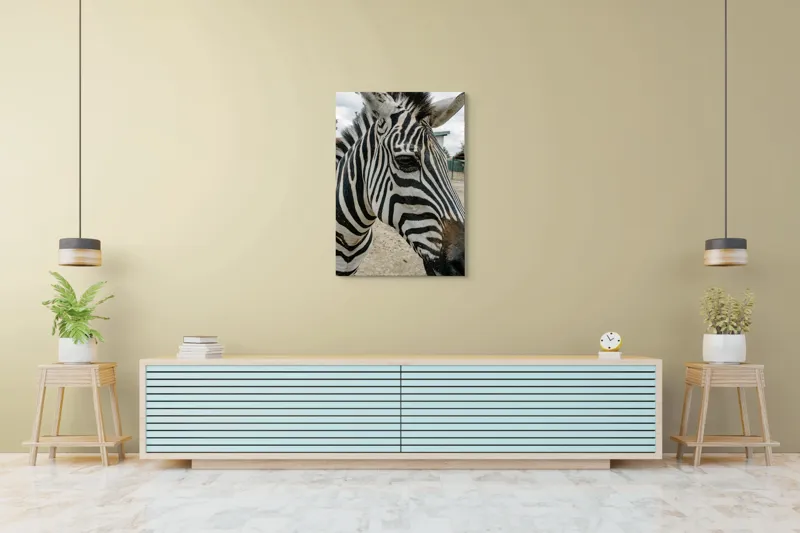 Tablou Canvas, "Zebra contemplând în lumina dimineții", Zebră, Dungi, Natură, Curiozitate, Faună, Contrast, Privire, Habitat, Blană, Alb-Negru, 70 x 100 cm – poza 5