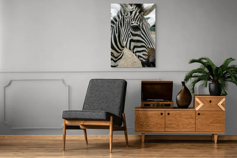 Tablou Canvas, "Zebra contemplând în lumina dimineții", Zebră, Dungi, Natură, Curiozitate, Faună, Contrast, Privire, Habitat, Blană, Alb-Negru, 70 x 100 cm – poza 6