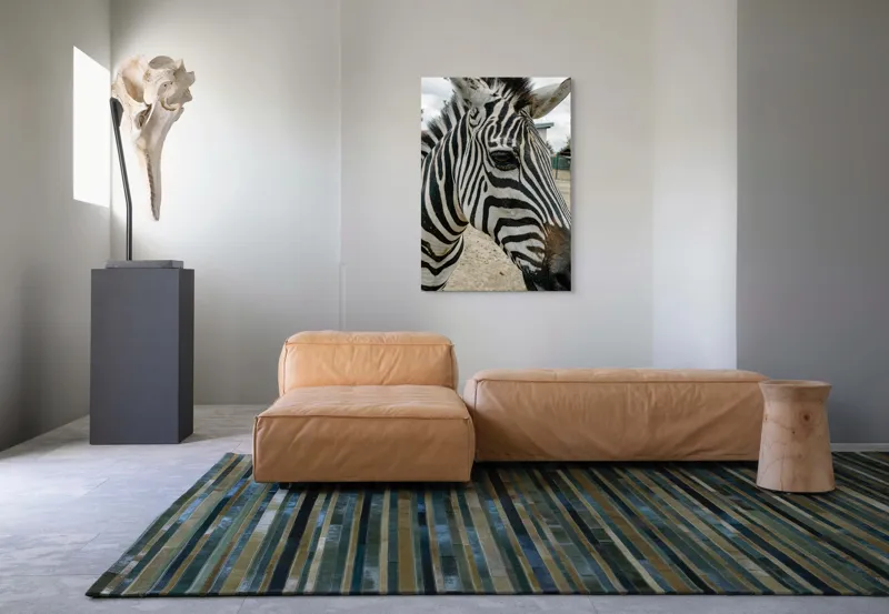 Tablou Canvas, "Zebra contemplând în lumina dimineții", Zebră, Dungi, Natură, Curiozitate, Faună, Contrast, Privire, Habitat, Blană, Alb-Negru, 70 x 100 cm – poza 7