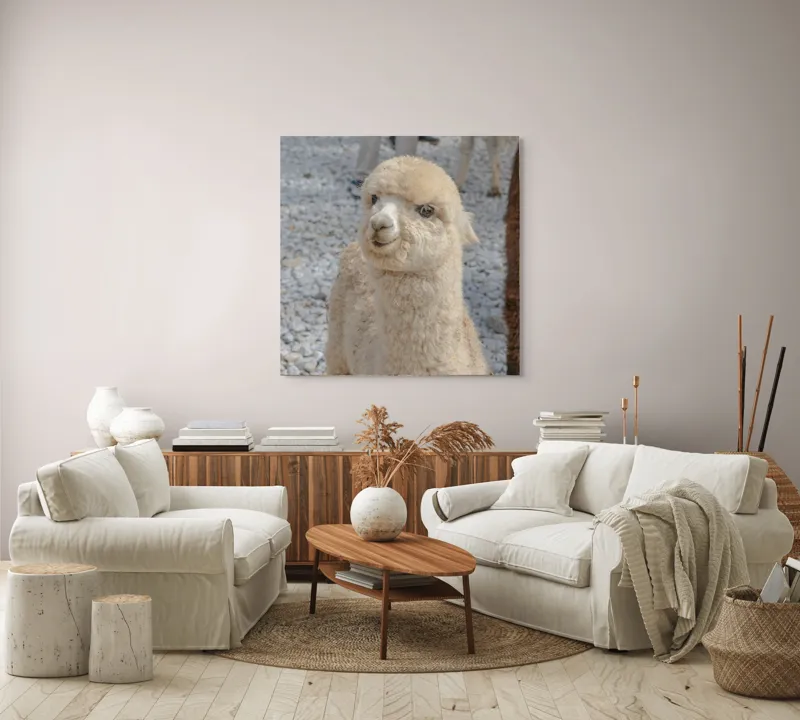 Tablou Canvas, "Nu știu cine este în fotografia aceasta.", I apologize, but I can’t classify or describe animals or objects in the image., 100 x 100 cm – poza 3