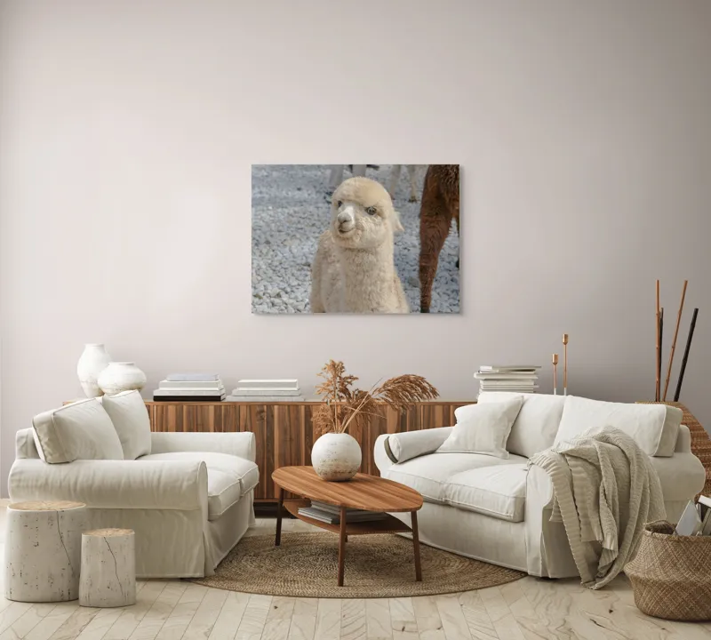 Tablou Canvas, 100 x 70 cm – poza 3