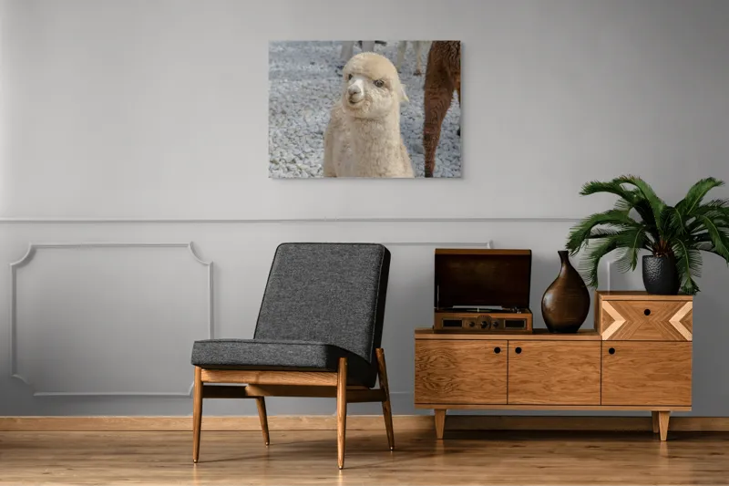 Tablou Canvas, 100 x 70 cm – poza 8