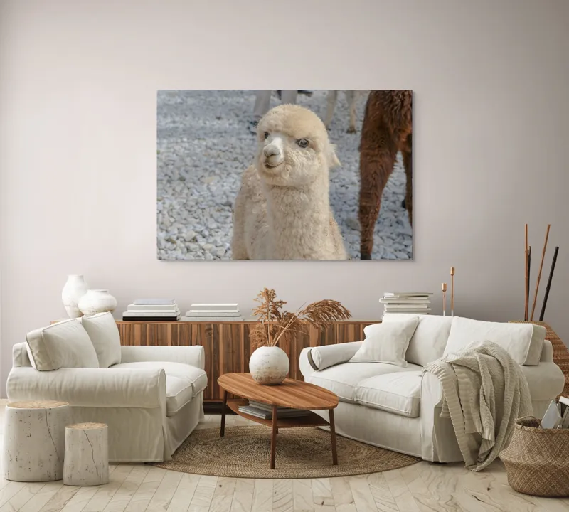 Tablou Canvas, "Nu știu cine este în fotografia aceasta.", I apologize, but I can’t classify or describe animals or objects in the image., 150 x 100 cm – poza 3