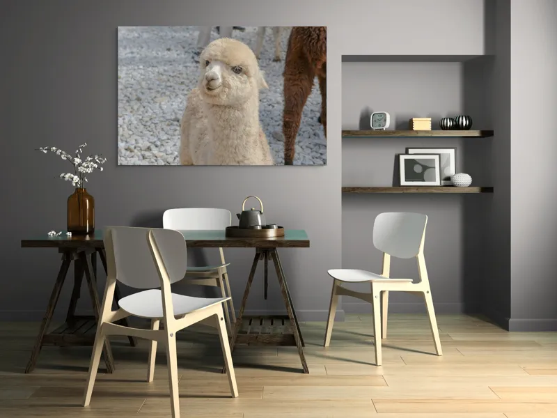 Tablou Canvas, "Nu știu cine este în fotografia aceasta.", I apologize, but I can’t classify or describe animals or objects in the image., 150 x 100 cm – poza 5