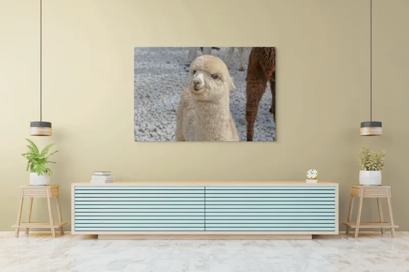 Tablou Canvas, "Nu știu cine este în fotografia aceasta.", I apologize, but I can’t classify or describe animals or objects in the image., 150 x 100 cm – poza 6