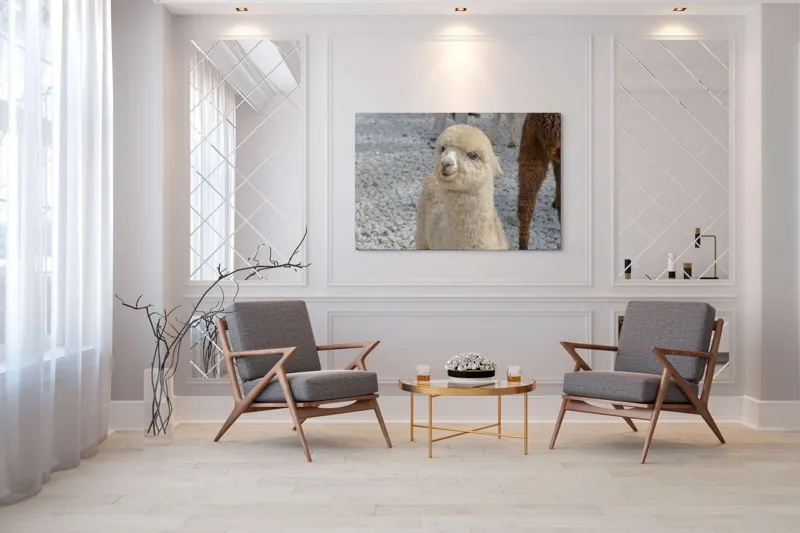 Tablou Canvas, "Nu știu cine este în fotografia aceasta.", I apologize, but I can’t classify or describe animals or objects in the image., 150 x 100 cm – poza 7
