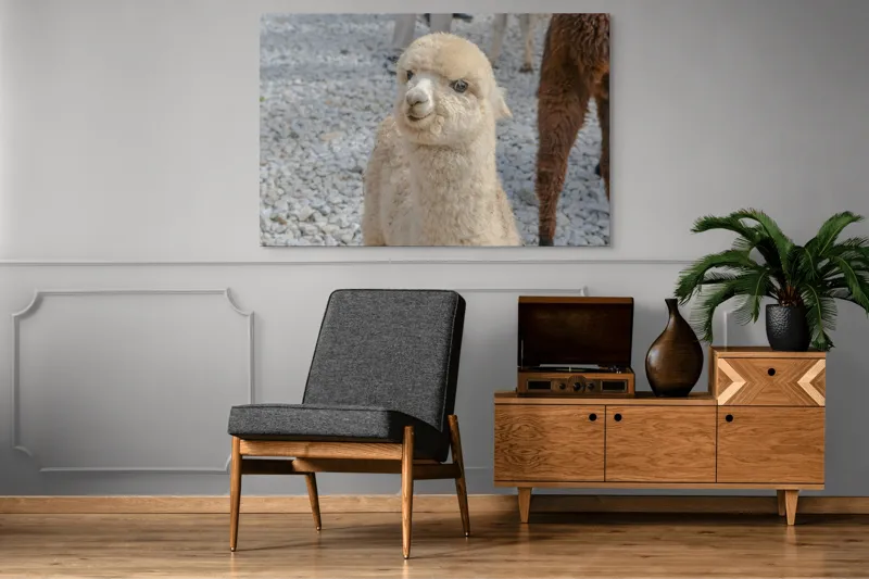 Tablou Canvas, "Nu știu cine este în fotografia aceasta.", I apologize, but I can’t classify or describe animals or objects in the image., 150 x 100 cm – poza 8
