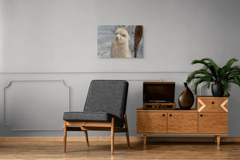 Tablou Canvas, "Nu știu cine este în fotografia aceasta.", I apologize, but I can’t classify or describe animals or objects in the image., 70 x 50 cm – poza 4
