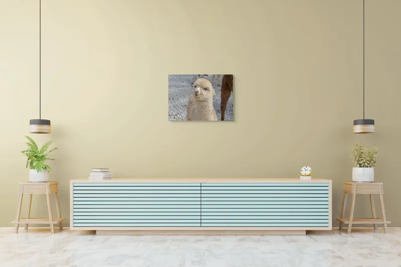 Tablou Canvas, "Nu știu cine este în fotografia aceasta.", I apologize, but I can’t classify or describe animals or objects in the image., 70 x 50 cm – poza 7