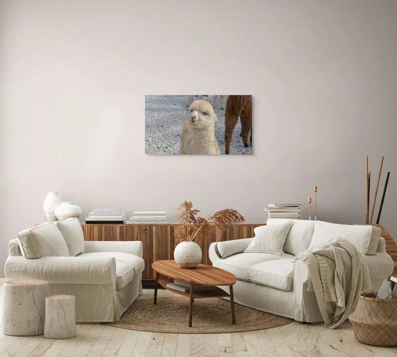 Tablou Canvas, 90 x 50 cm – poza 4