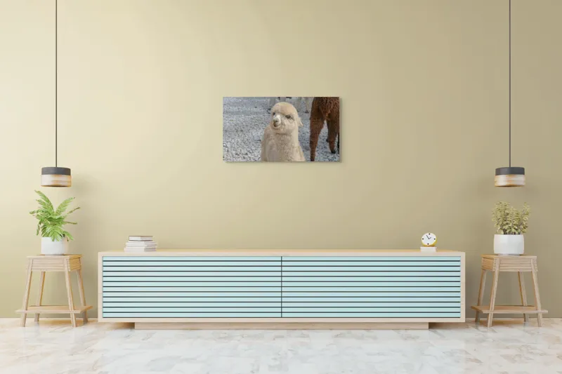 Tablou Canvas, 90 x 50 cm – poza 5