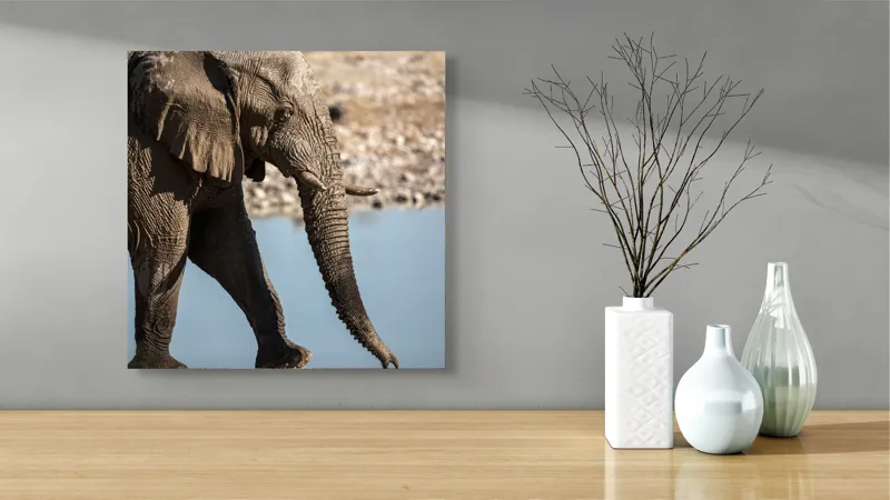 Tablou Canvas, "Elefant în apropierea apei albastre", Elefant, Trunchi, Apă, Peisaj, Urechi, Natură, Textură, Maro, Reflecție, 50 x 50 cm – poza 3