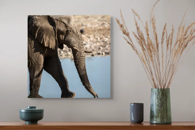 Tablou Canvas, "Elefant în apropierea apei albastre", Elefant, Trunchi, Apă, Peisaj, Urechi, Natură, Textură, Maro, Reflecție, 50 x 50 cm – poza 4