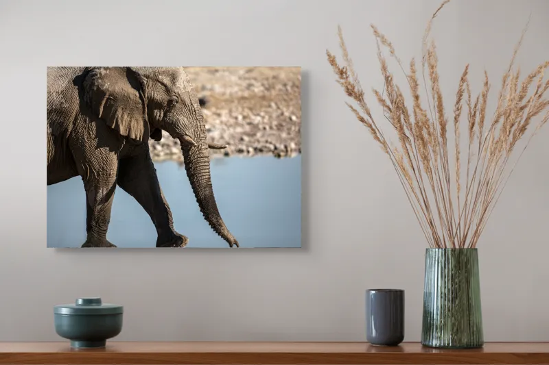 Tablou Canvas, "Elefant în apropierea apei albastre", Elefant, Trunchi, Apă, Peisaj, Urechi, Natură, Textură, Maro, Reflecție, 54 x 39 cm – poza 4