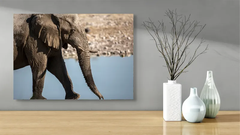 Tablou Canvas, "Elefant în apropierea apei albastre", Elefant, Trunchi, Apă, Peisaj, Urechi, Natură, Textură, Maro, Reflecție, 70 x 50 cm – poza 3
