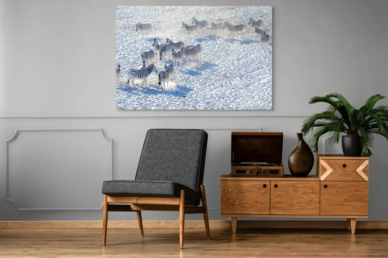 Tablou Canvas, "Zebrele pe câmpul de zăpadă", Zebre, Zăpadă, Grupa, Natură, Linie, Contrast, Peisaj, Alb, Negru, Afacere, Culoare, Videcylmaj, Antilopa, Nord, Pânză, Amplasament, Recunoscut, Regina, Particularități, Sistem, Geniozitate, 150 x 100 cm – poza 8